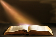 Bible Studies