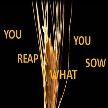 audio_reap